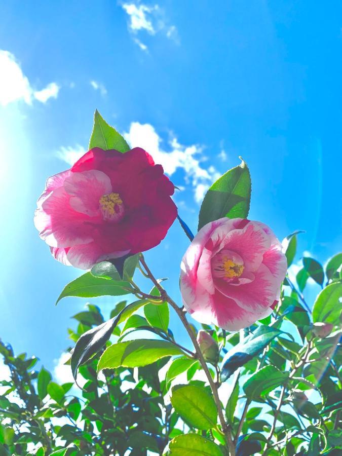 טאנאבה Private Guest House Kumanoyasai Near Takahara מראה חיצוני תמונה